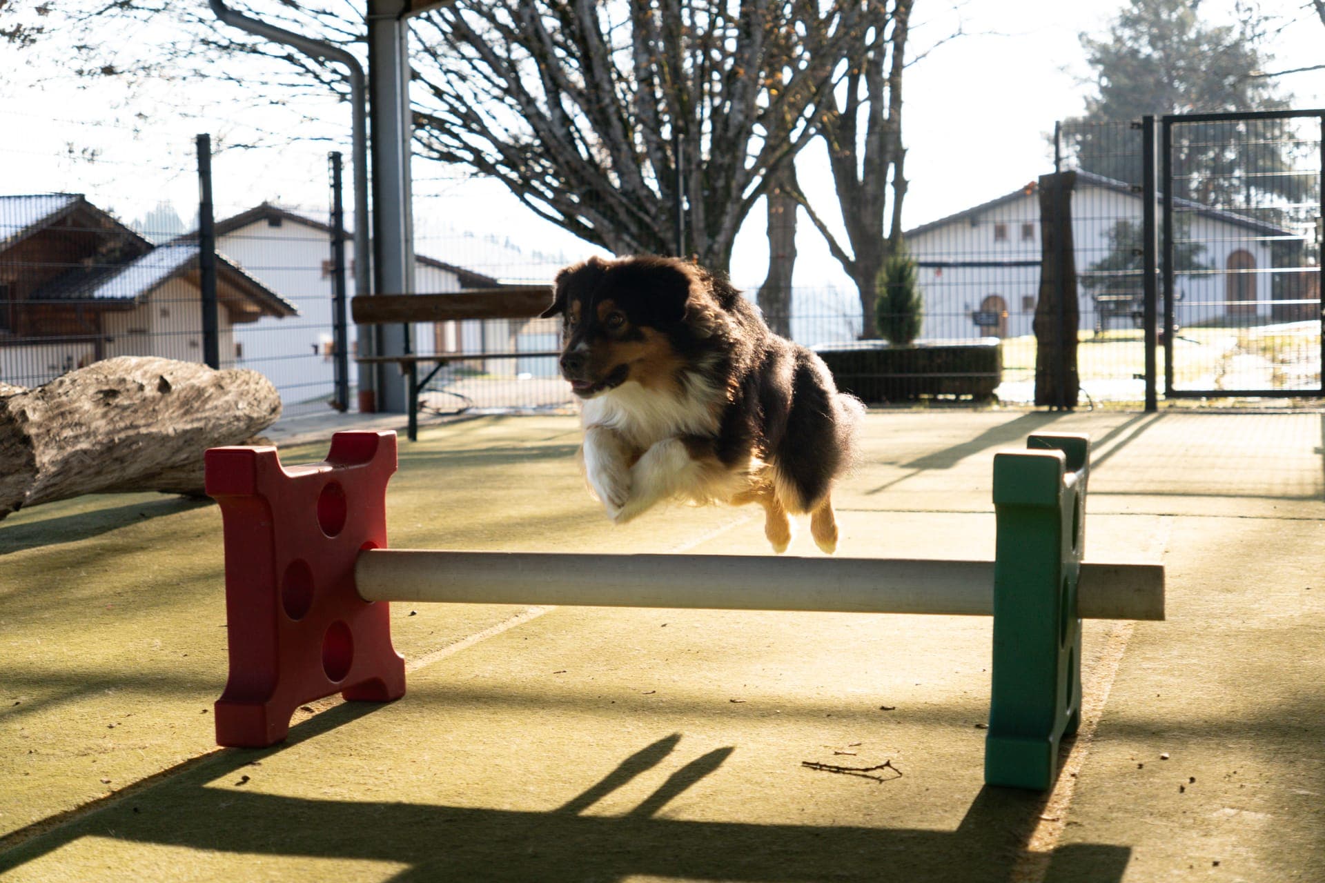 Hundefreundliches Hotel